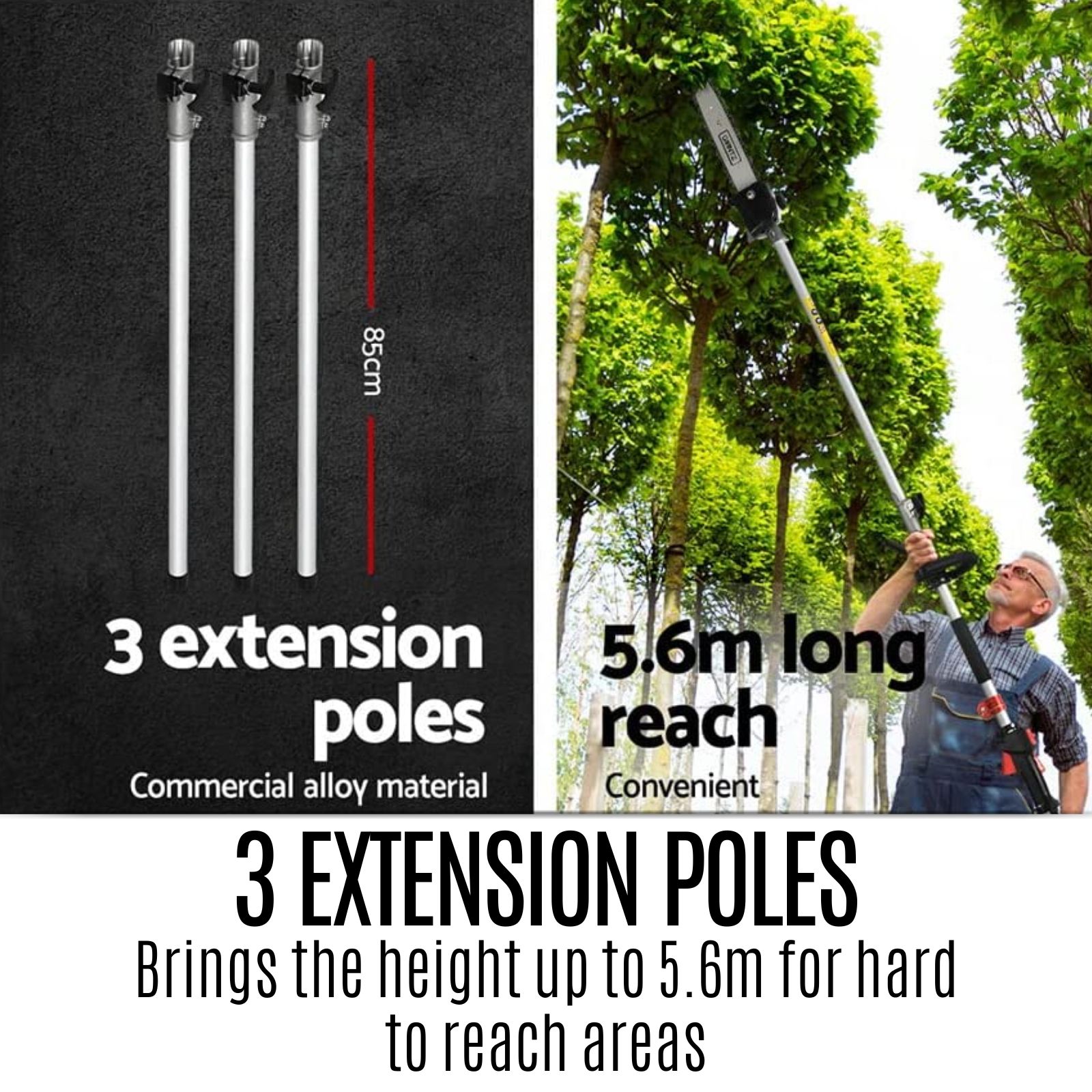 5.6m Pole Chainsaw