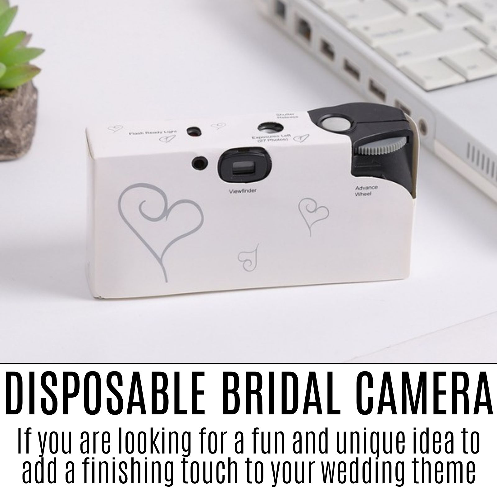 disposable camera